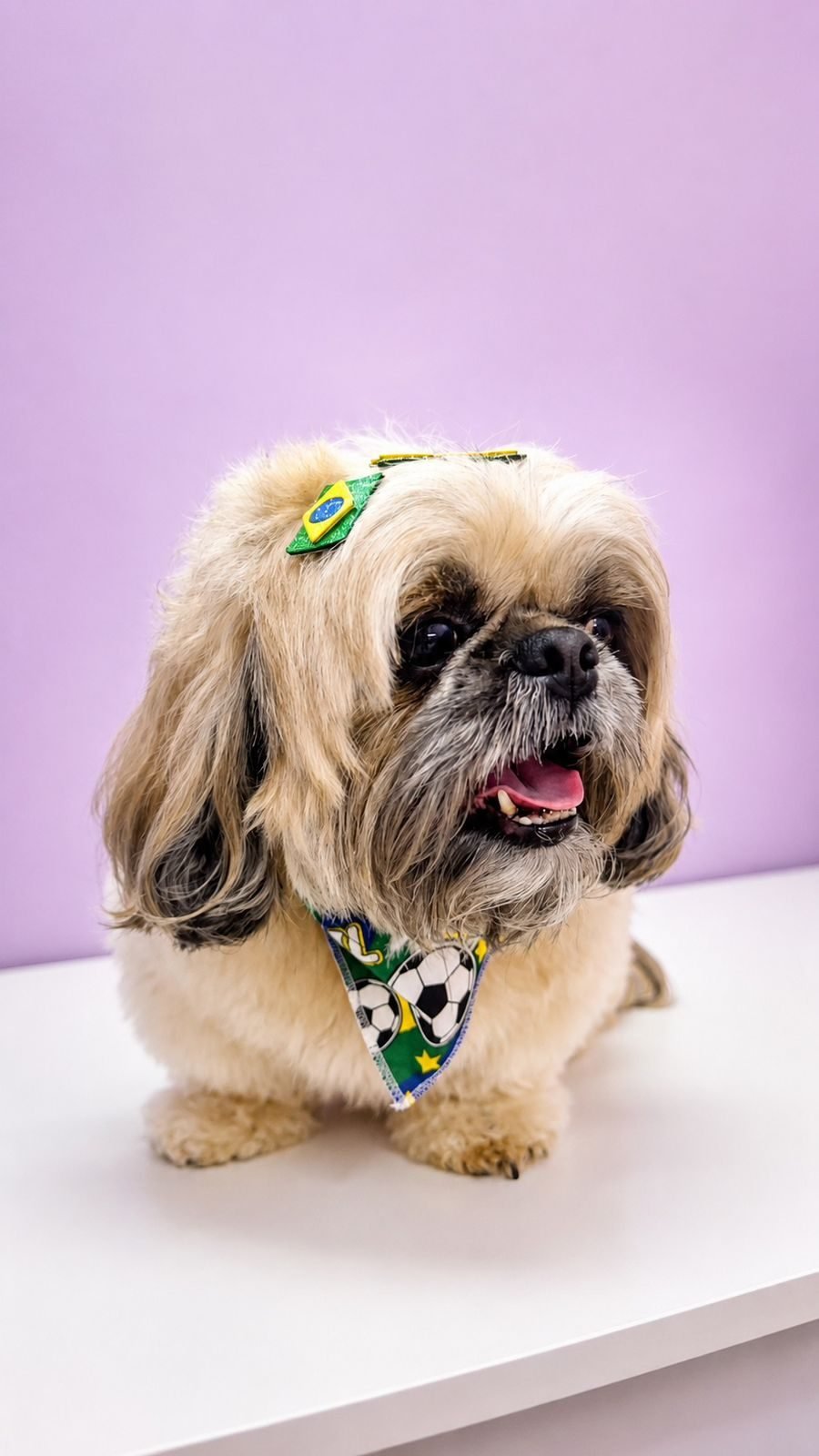 Pet com bandana Dany PetShop